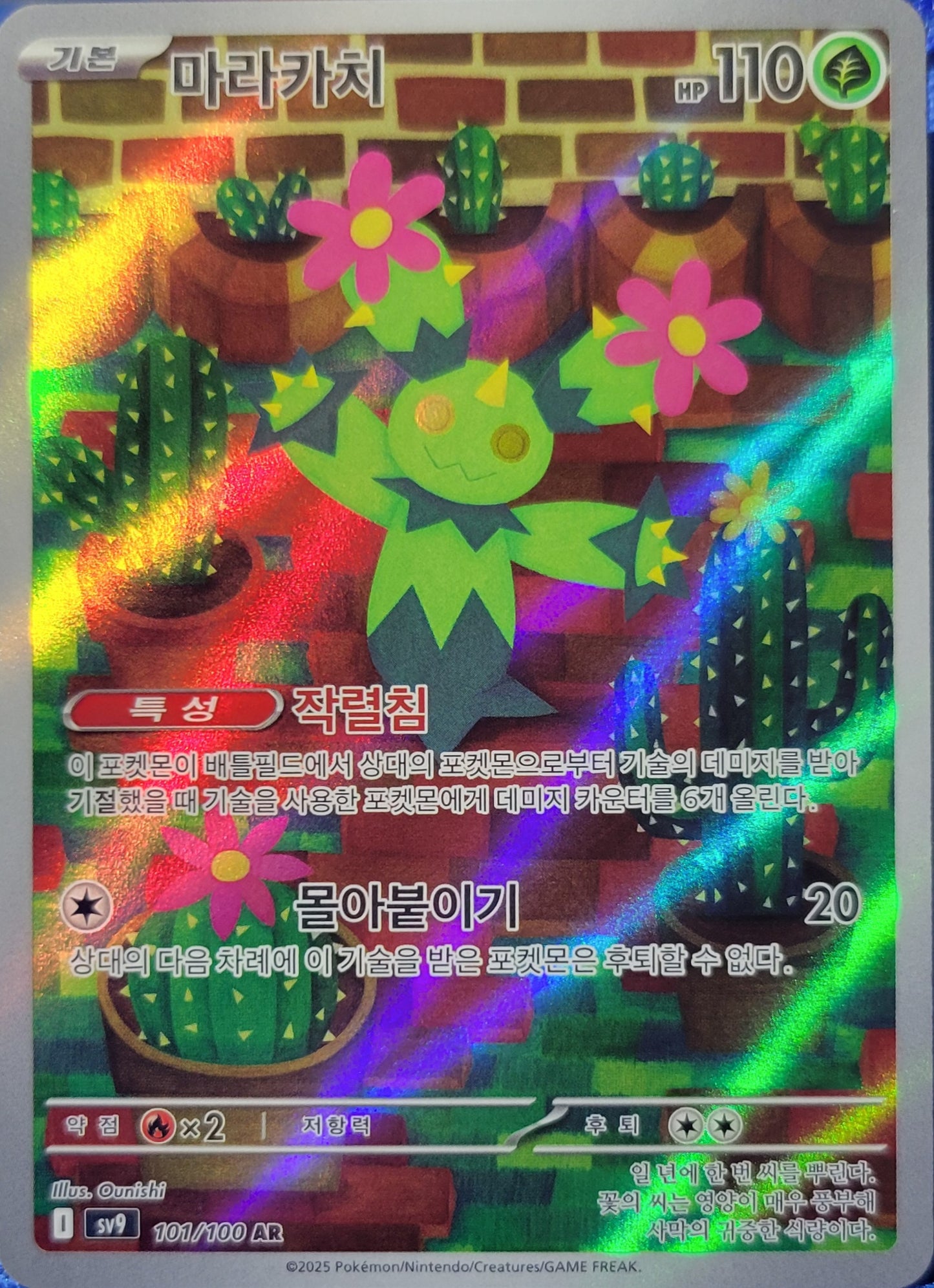 Maractus - 101/100 - AR (Art Rare) - Korean Version