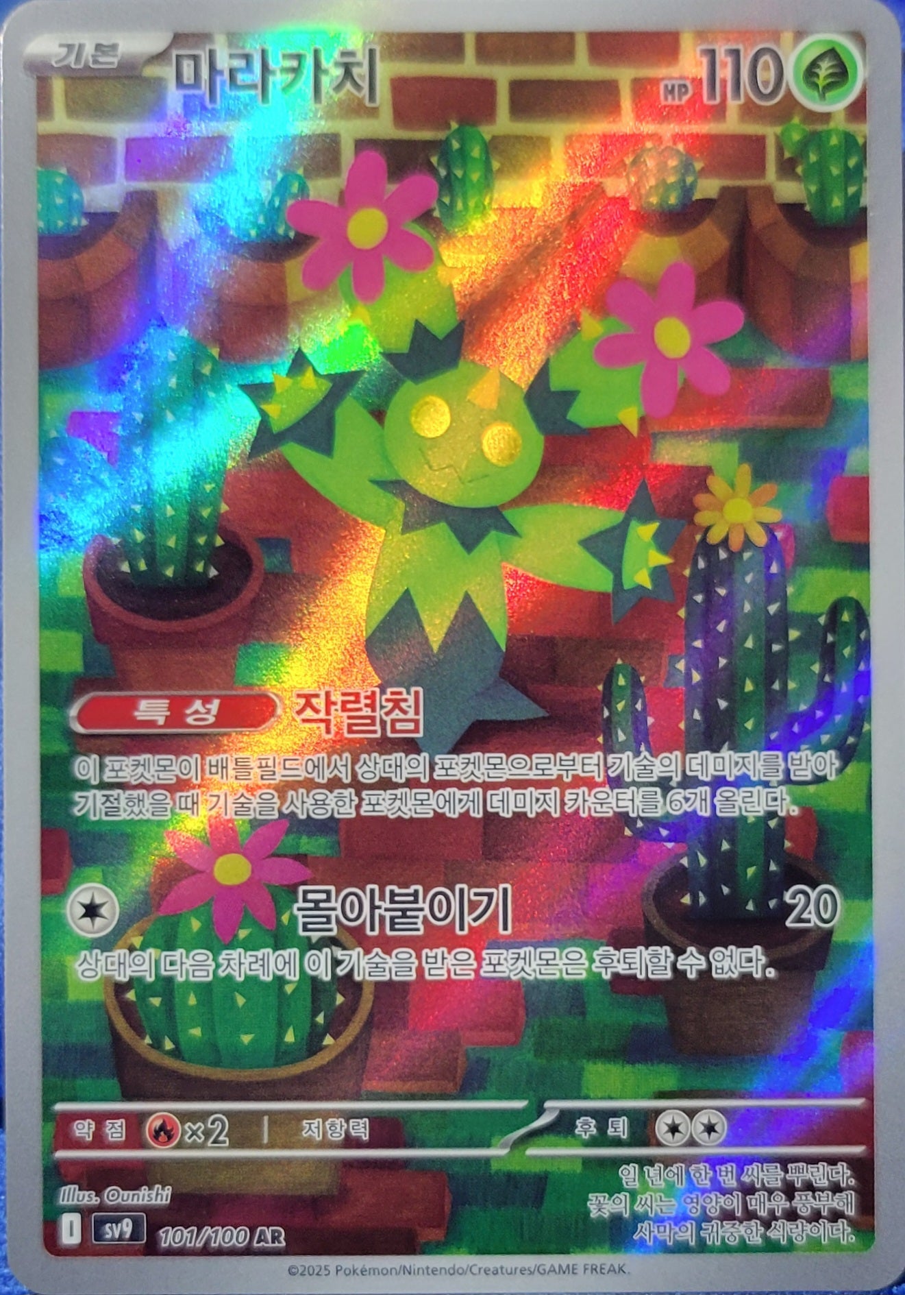 Maractus - 101/100 - AR (Art Rare) - Korean Version