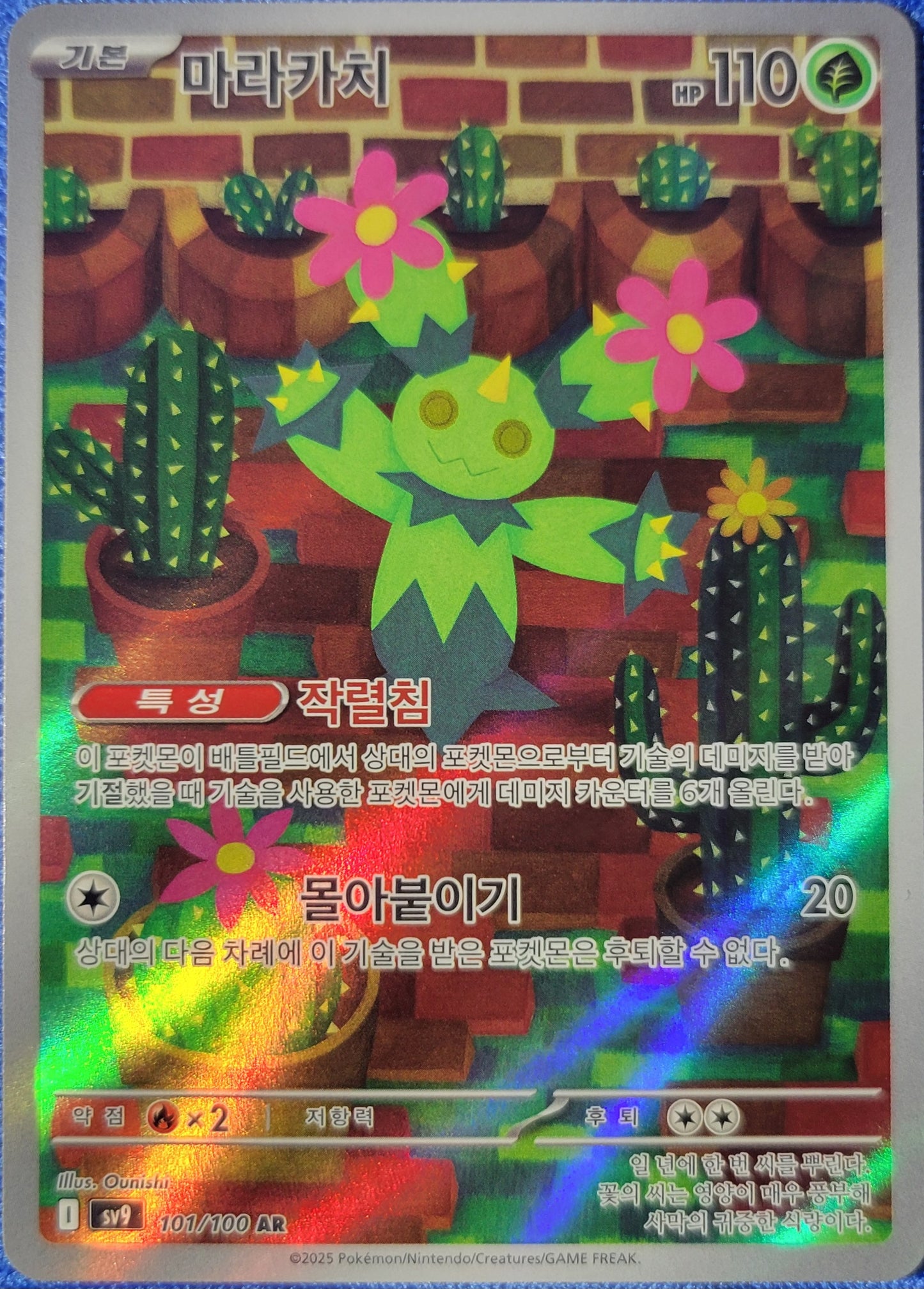 Maractus - 101/100 - AR (Art Rare) - Korean Version